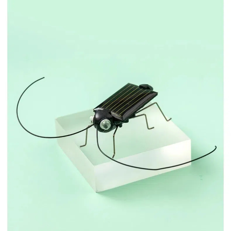 Solar Powered Locust Grasshopp - đánh giá và giá Kingdom Kids Education