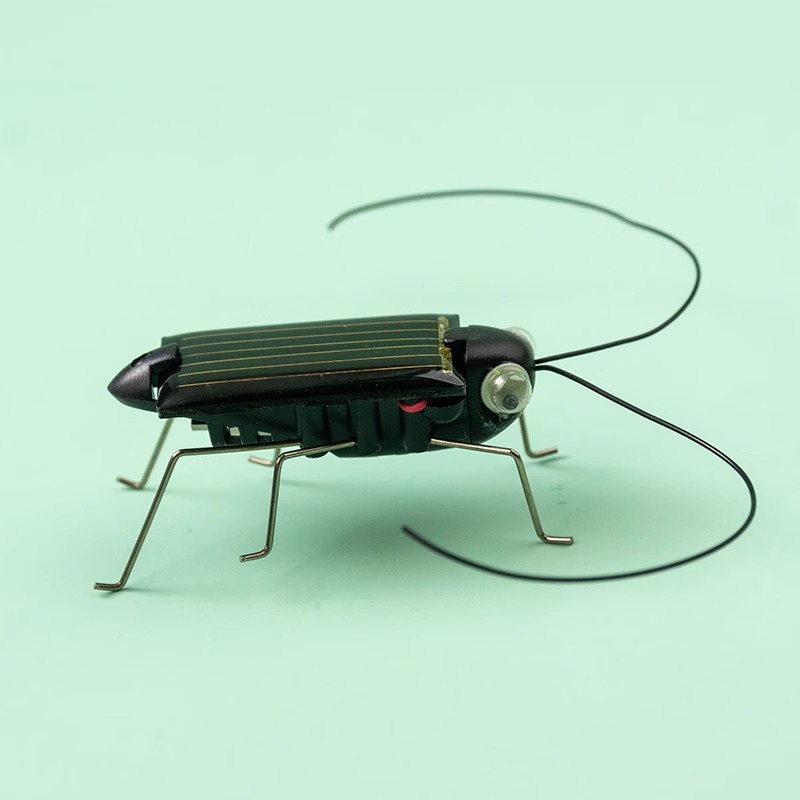 Solar Powered Locust Grasshopp - đánh giá và giá Kingdom Kids Education